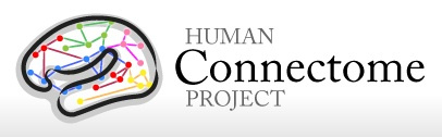 Human Connectome Project logo